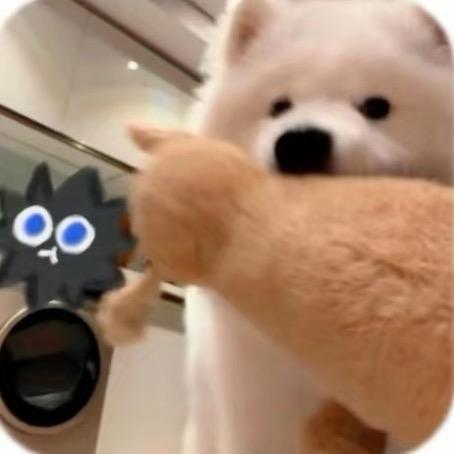 一咬嘎嘣脆脆鲨🦈