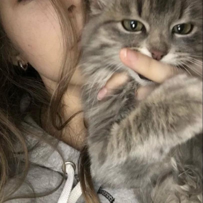 Wenn