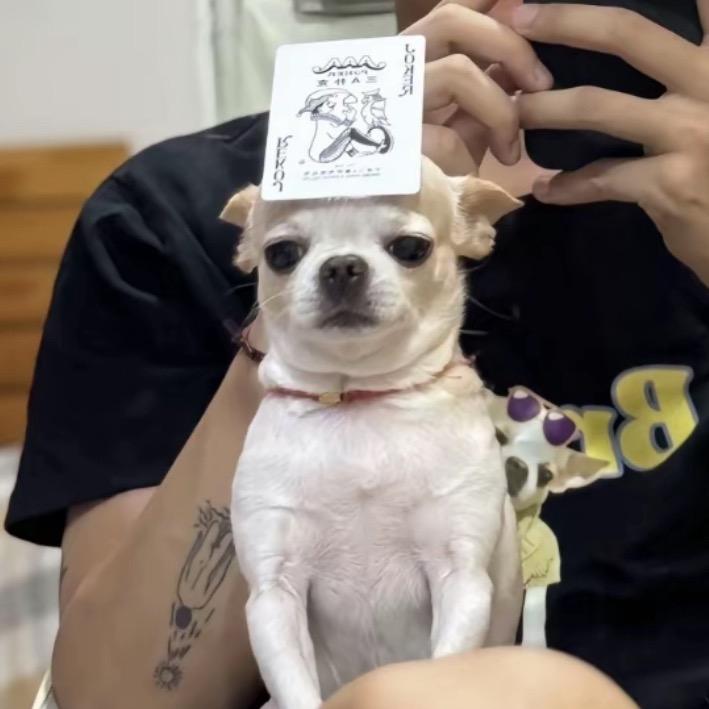 夕阳红敬老院年费vip
