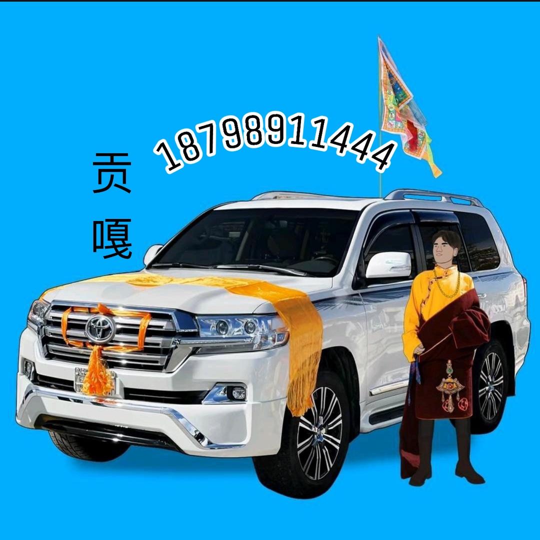 西藏   （贡嘎）  汽车