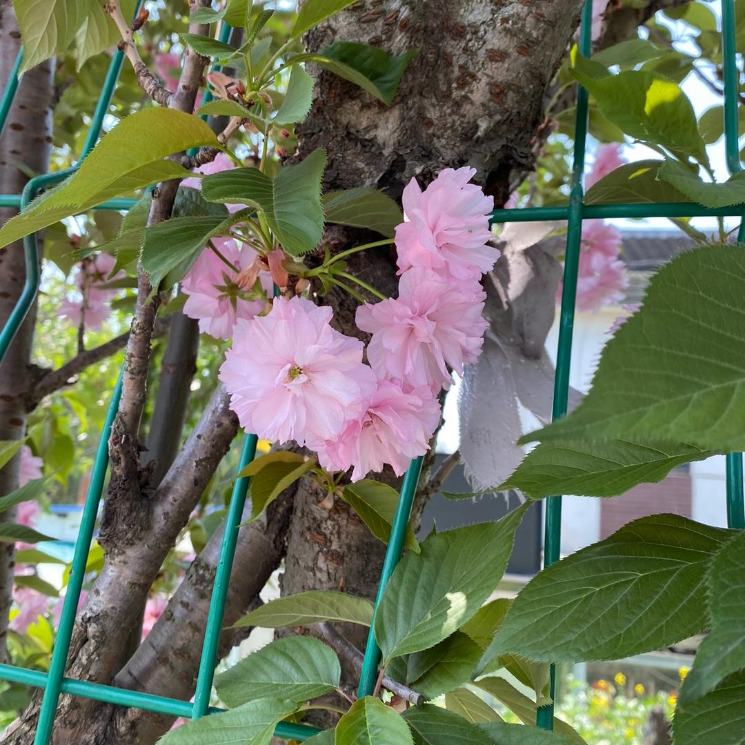 法海你不懂爱_224270400