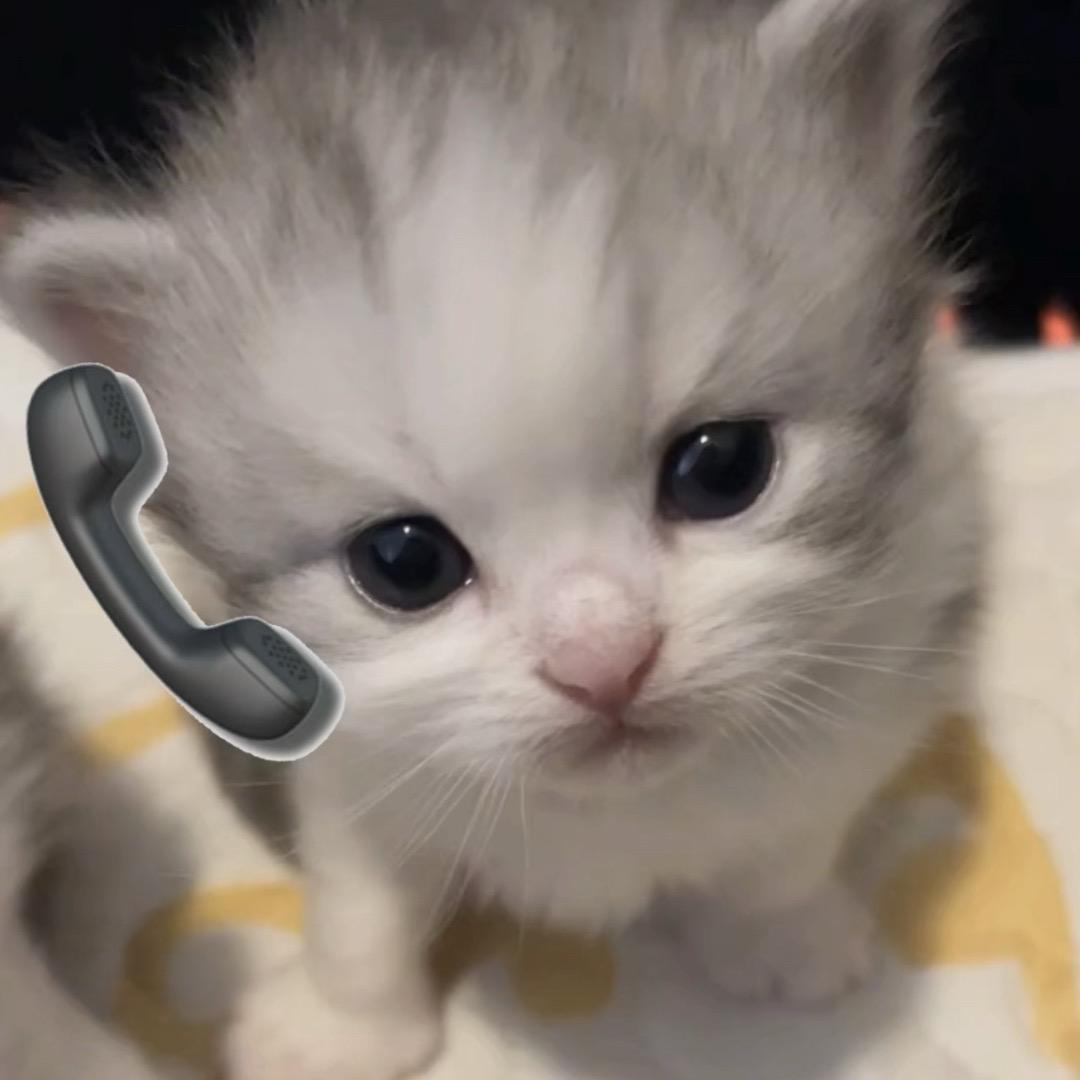 ￴￴￴ ￴ ￴ ￴ ￴ ￴￴