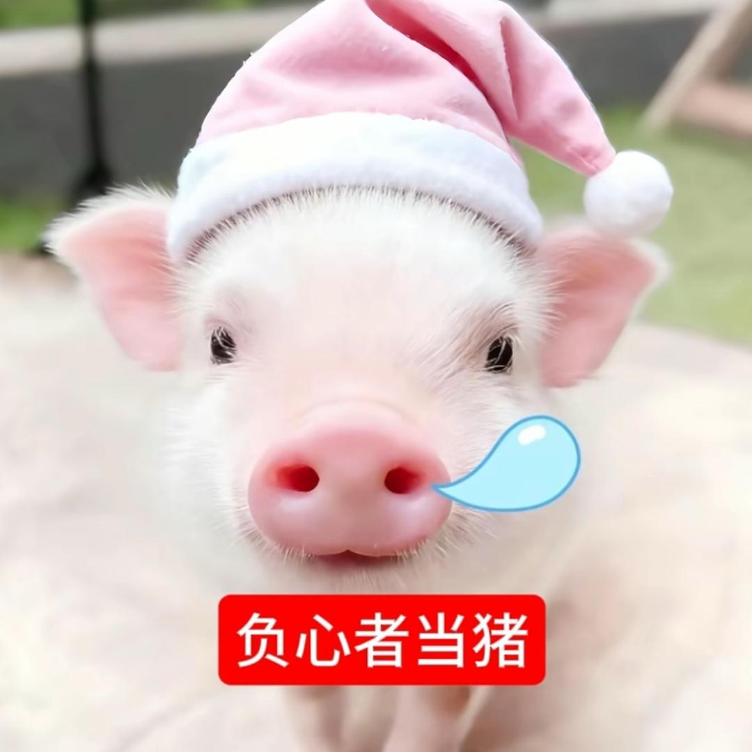 烦我总是敏感