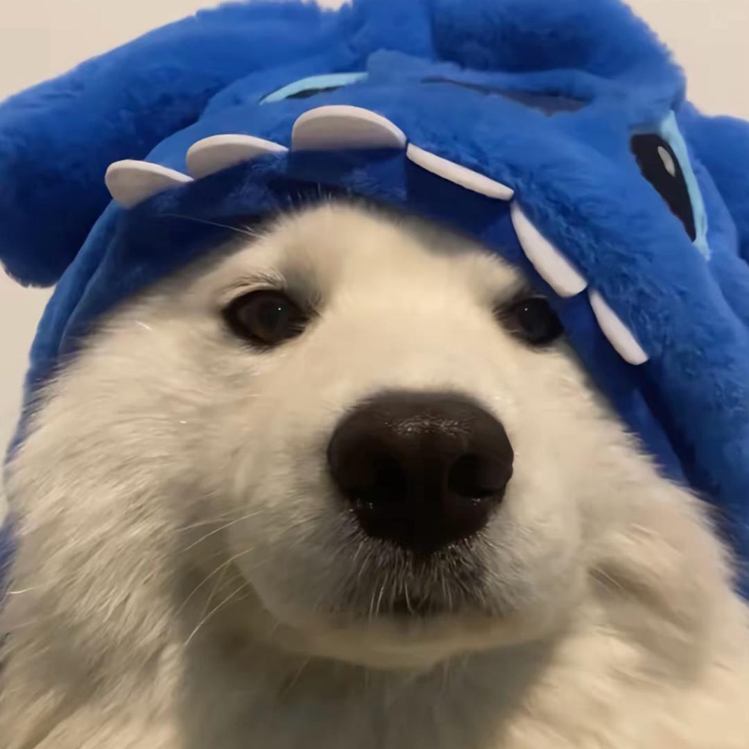 阿宇✨