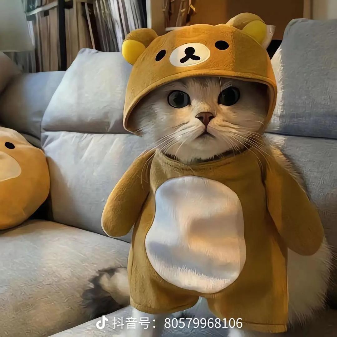 睡了💤