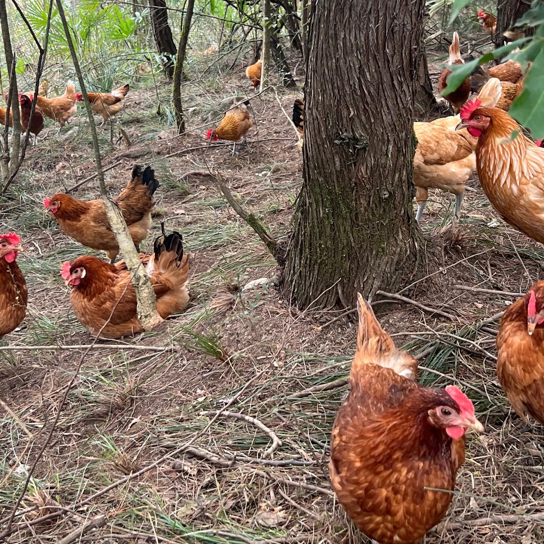 庆庆王和涛奋工