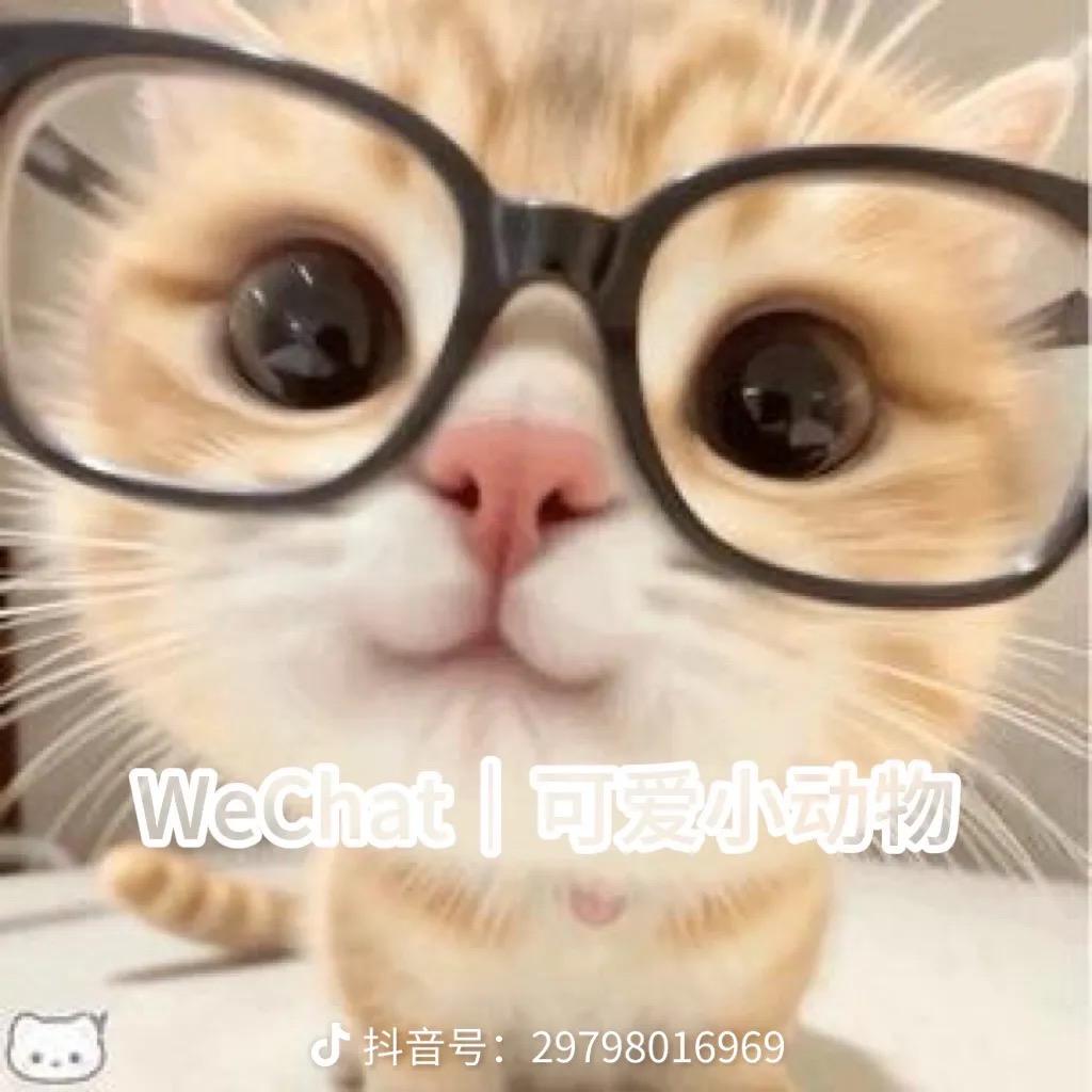 小泷包and青苹果🍏