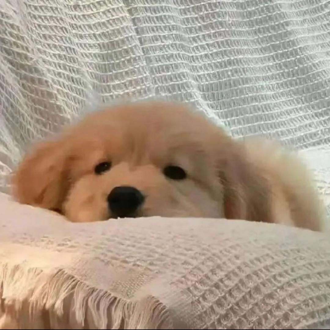 这一秒最重要👀