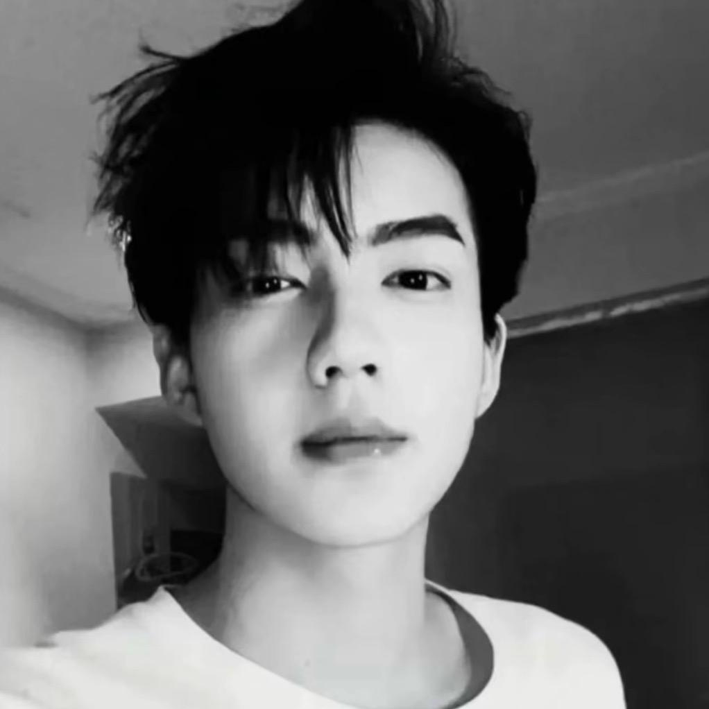 仙鹤🦩