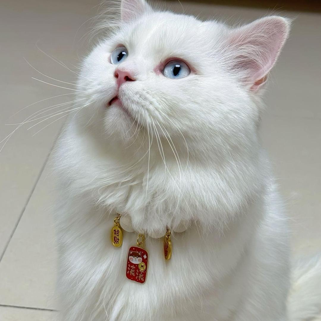 小吴同学