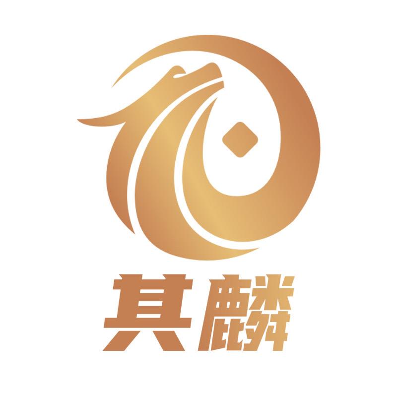 上海其麟金融信息服务有限公司