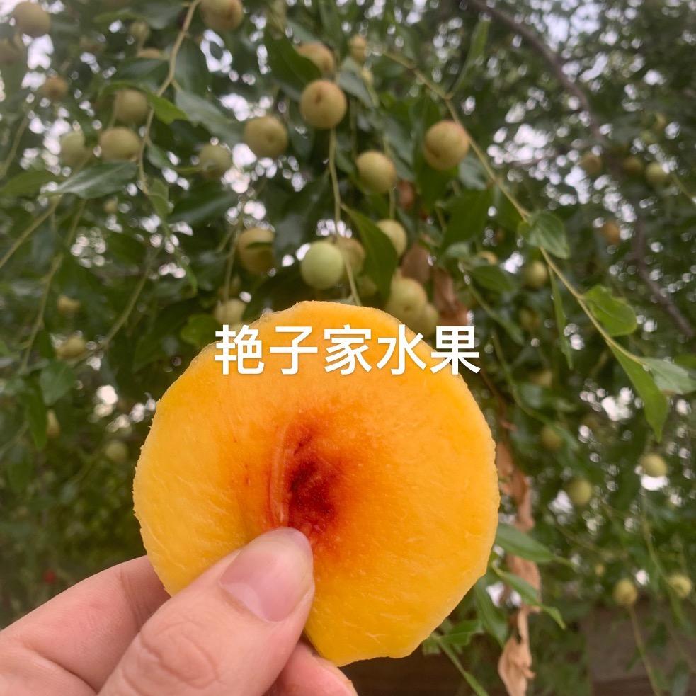 艳子