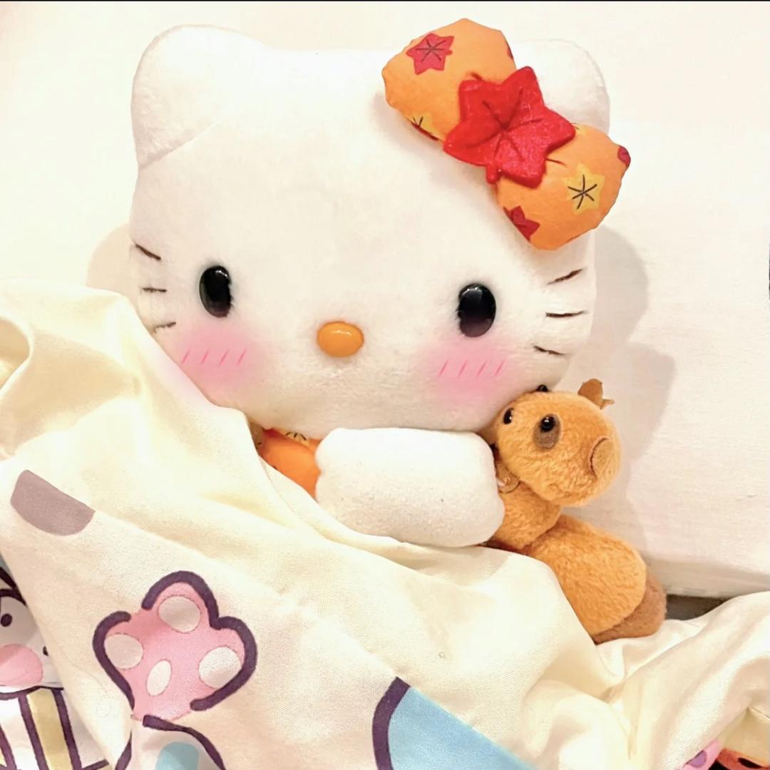 我不爱睡觉