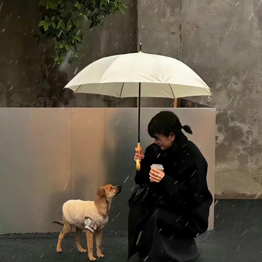 再见已是陌路