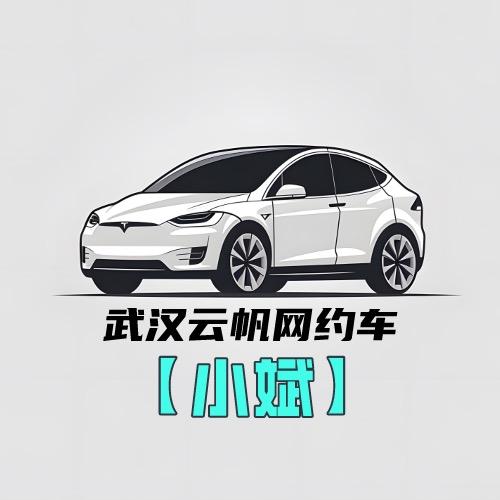 武汉市云帆网约车服务有限公司