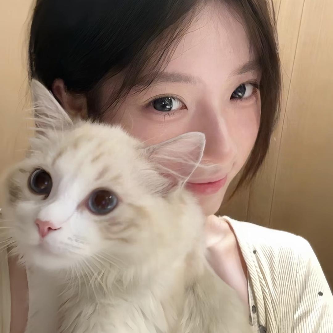 猫猫🐱