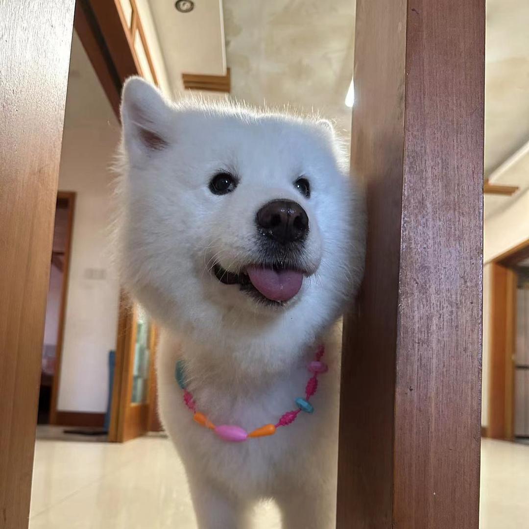 美少女战诗