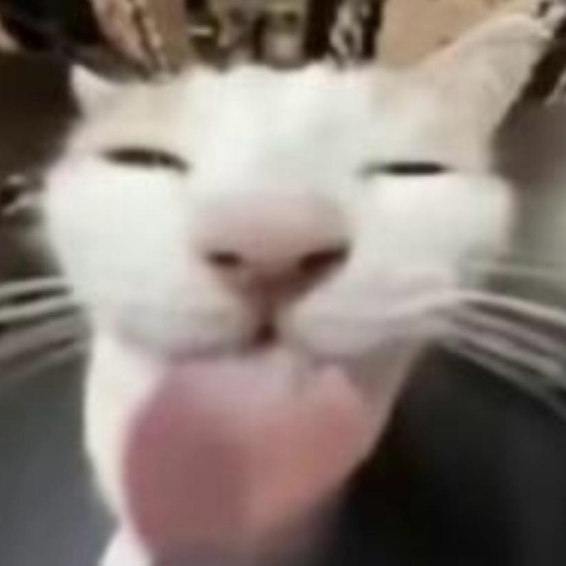 我想吃洋芋粑