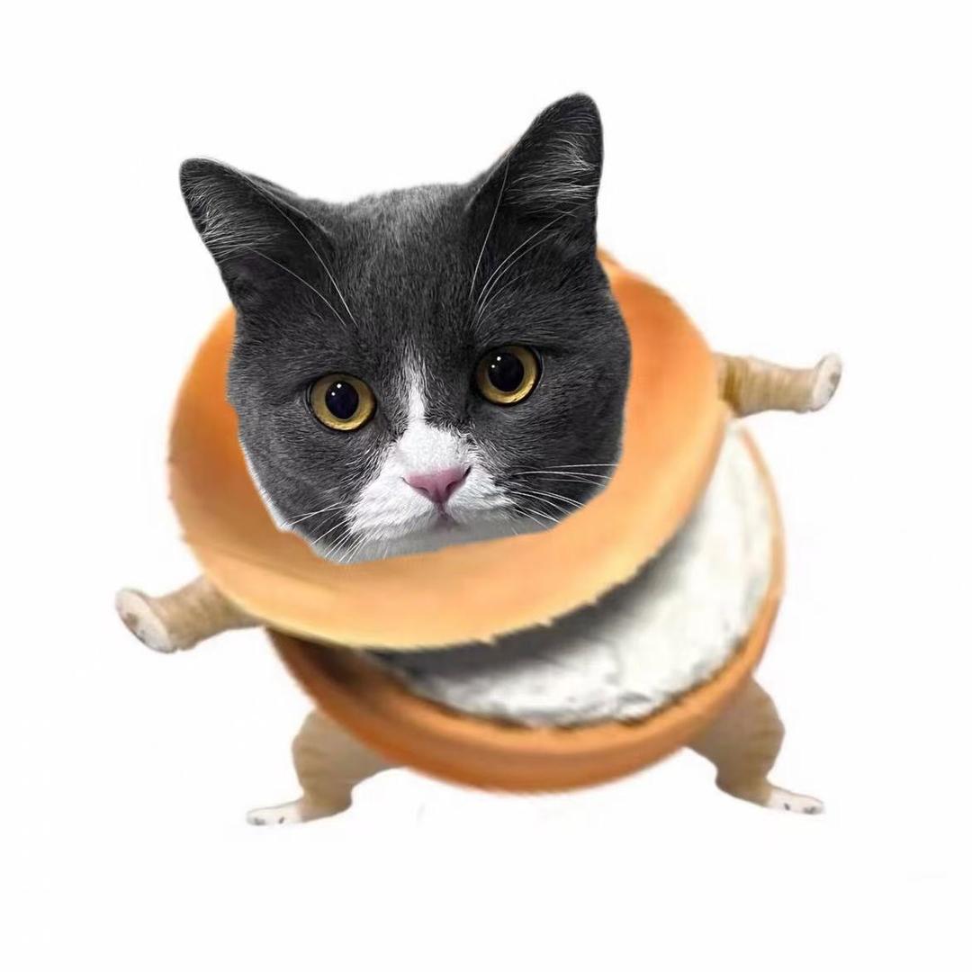 咪咪的幸福生活