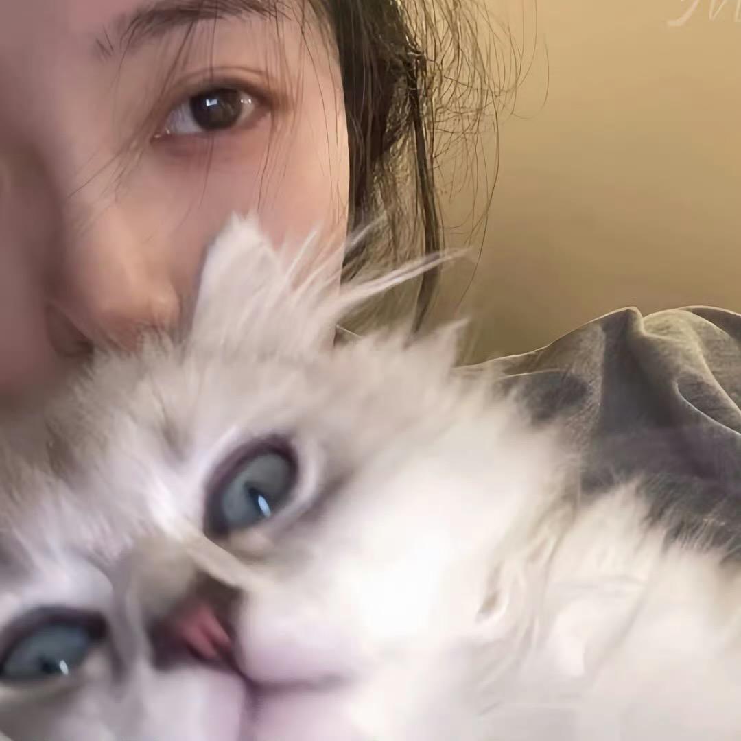 阿毒天天开心