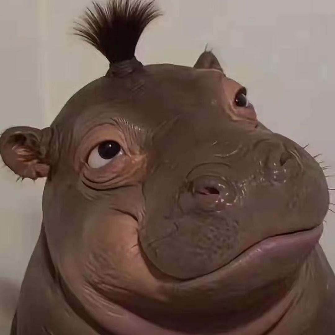 正在思考滴小河马