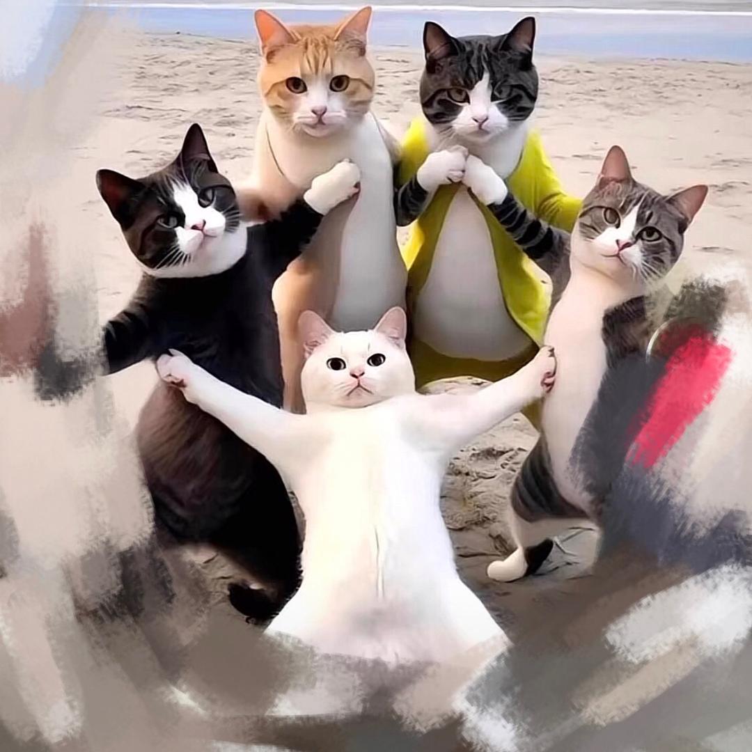 🌈🌈情有独钟先森