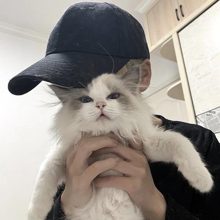 天上飞