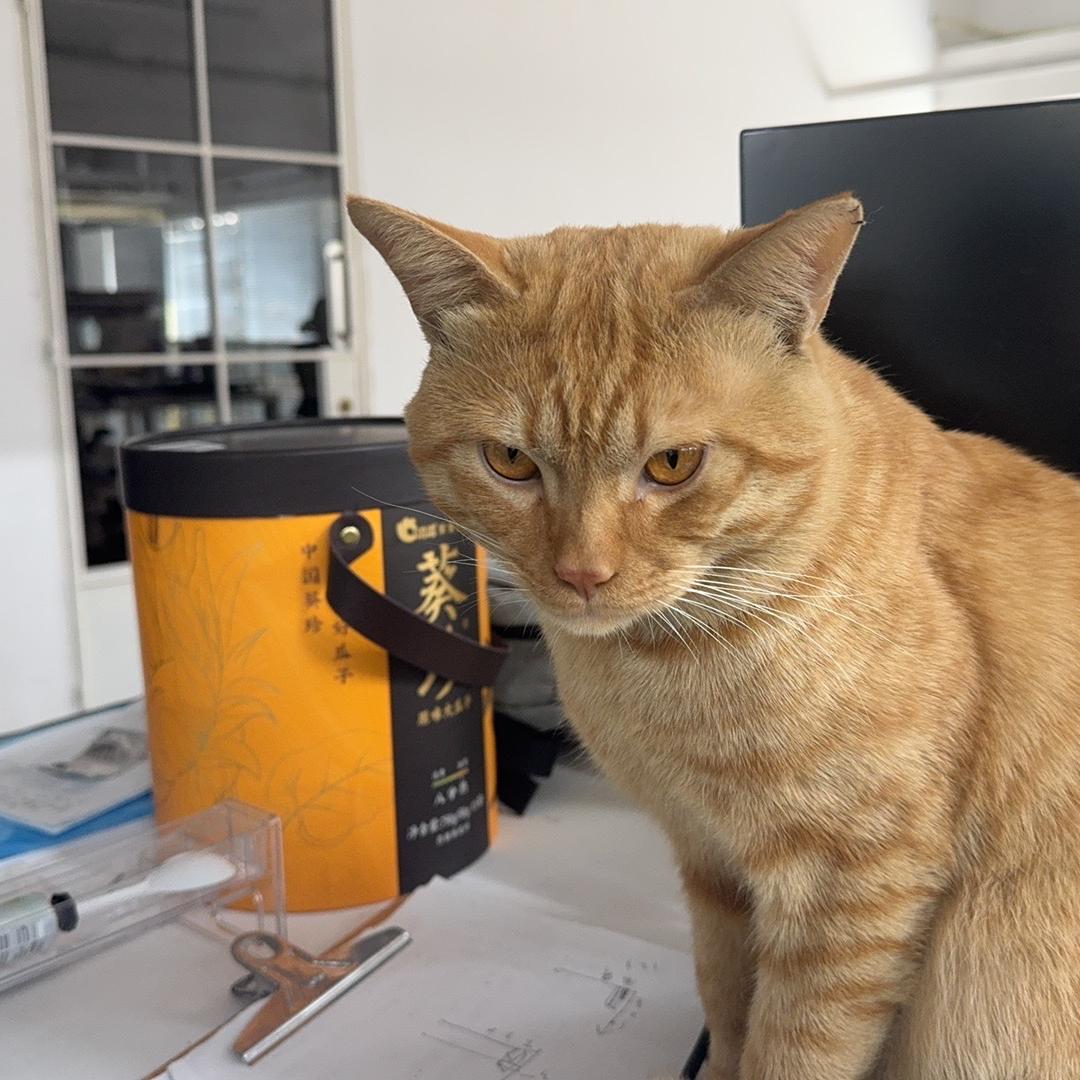 华熙当康国际海外专卖店