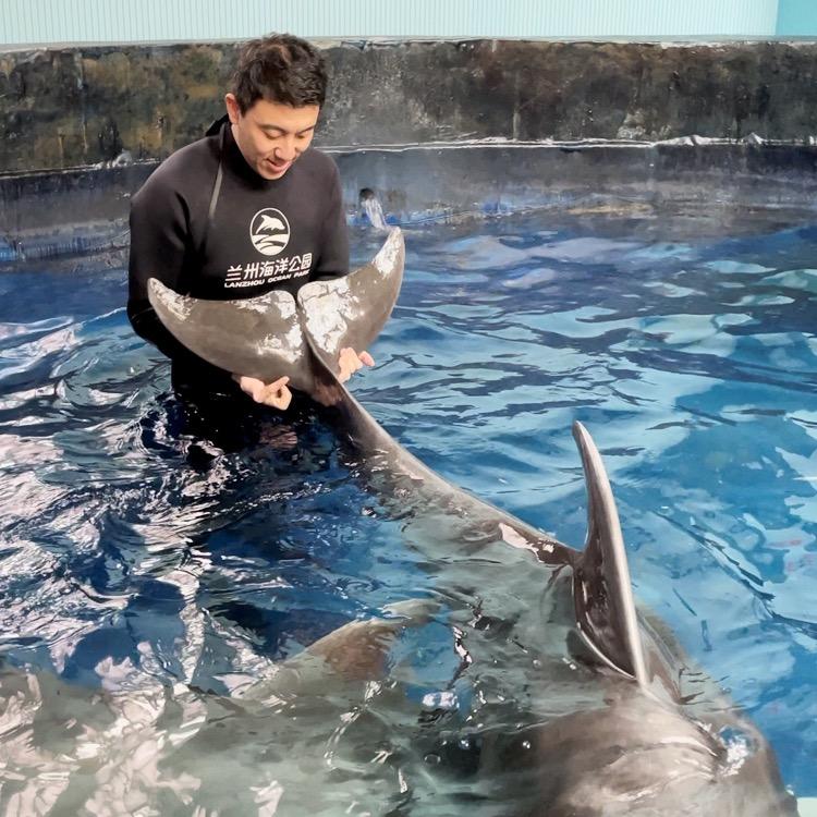 苏馆长带你游海洋馆🐬