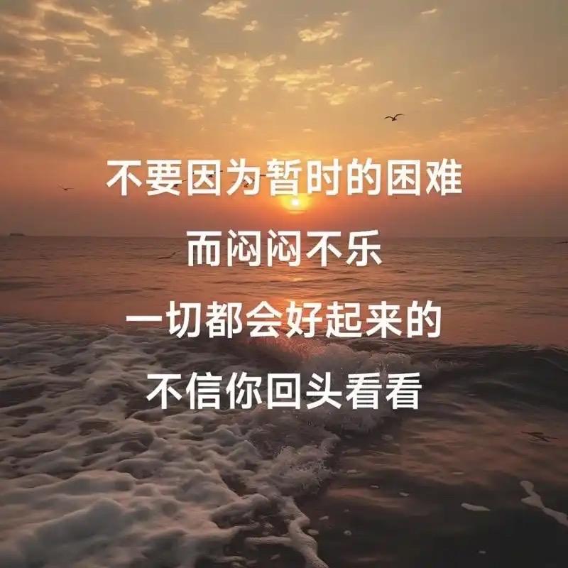 潮蹄猪脚饭（平宁路）