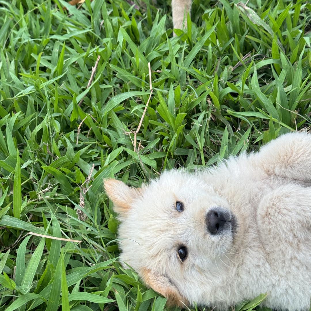 你抱抱我吧。