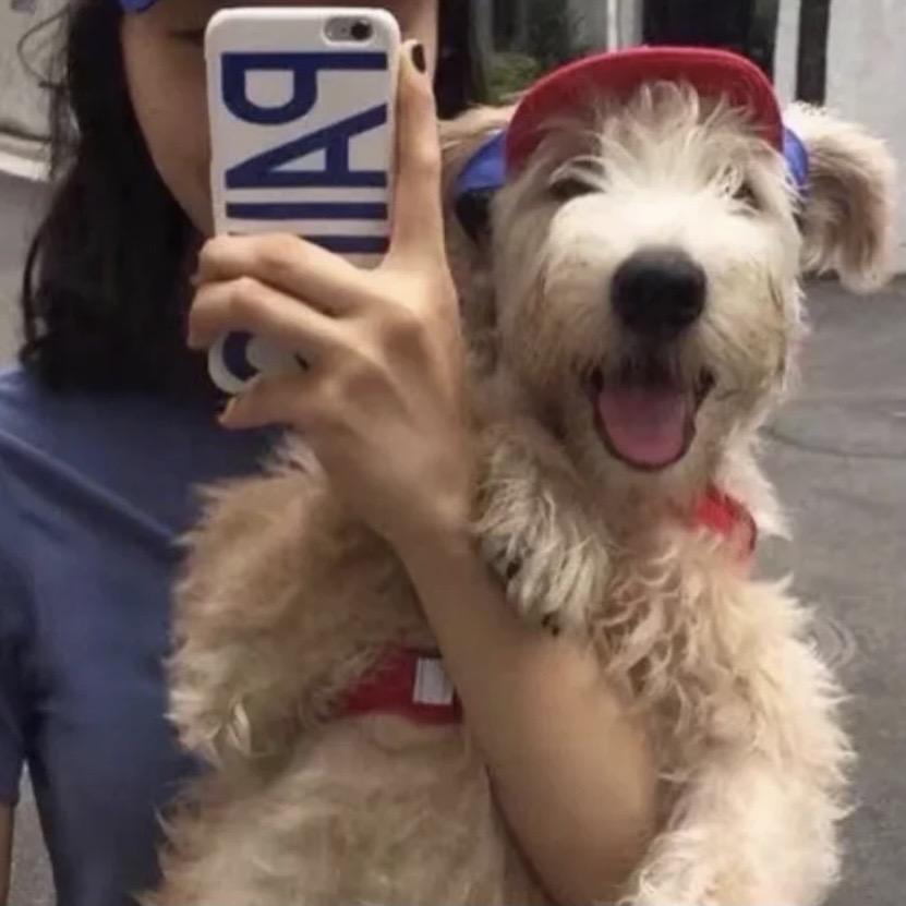 粥粥酱