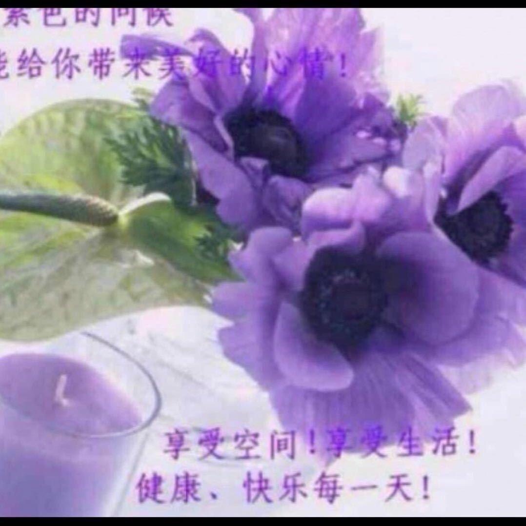 纯子