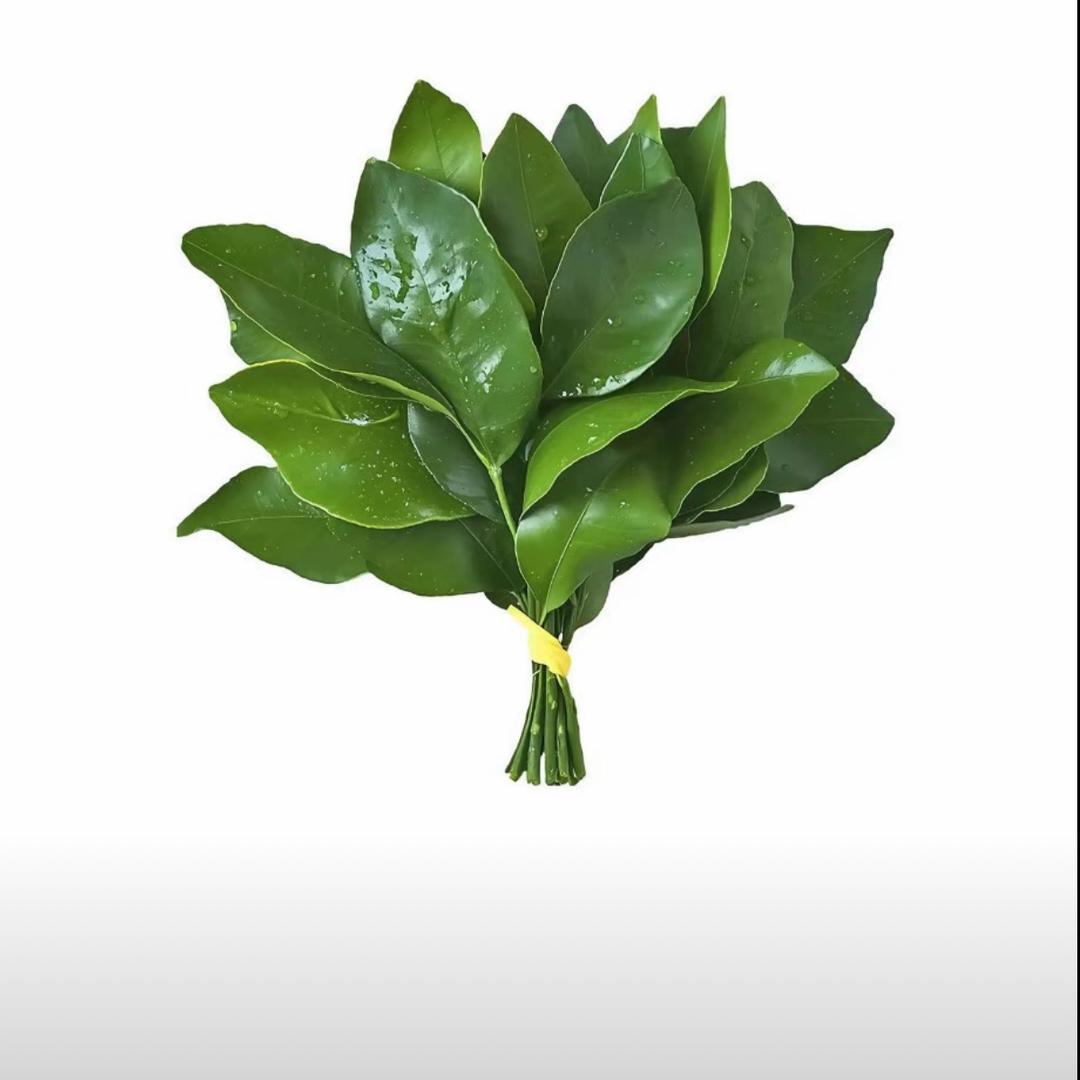 灵零一