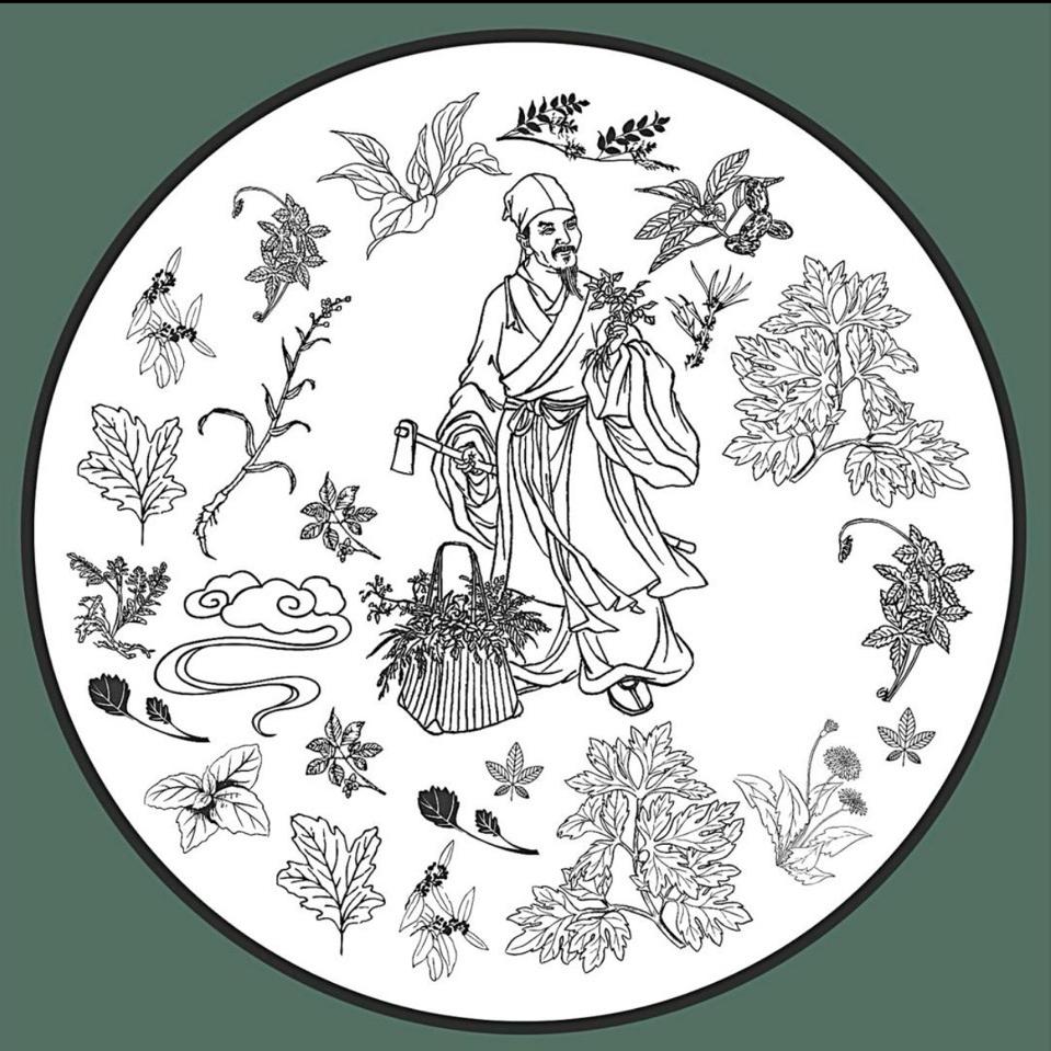 荨灵草生活馆