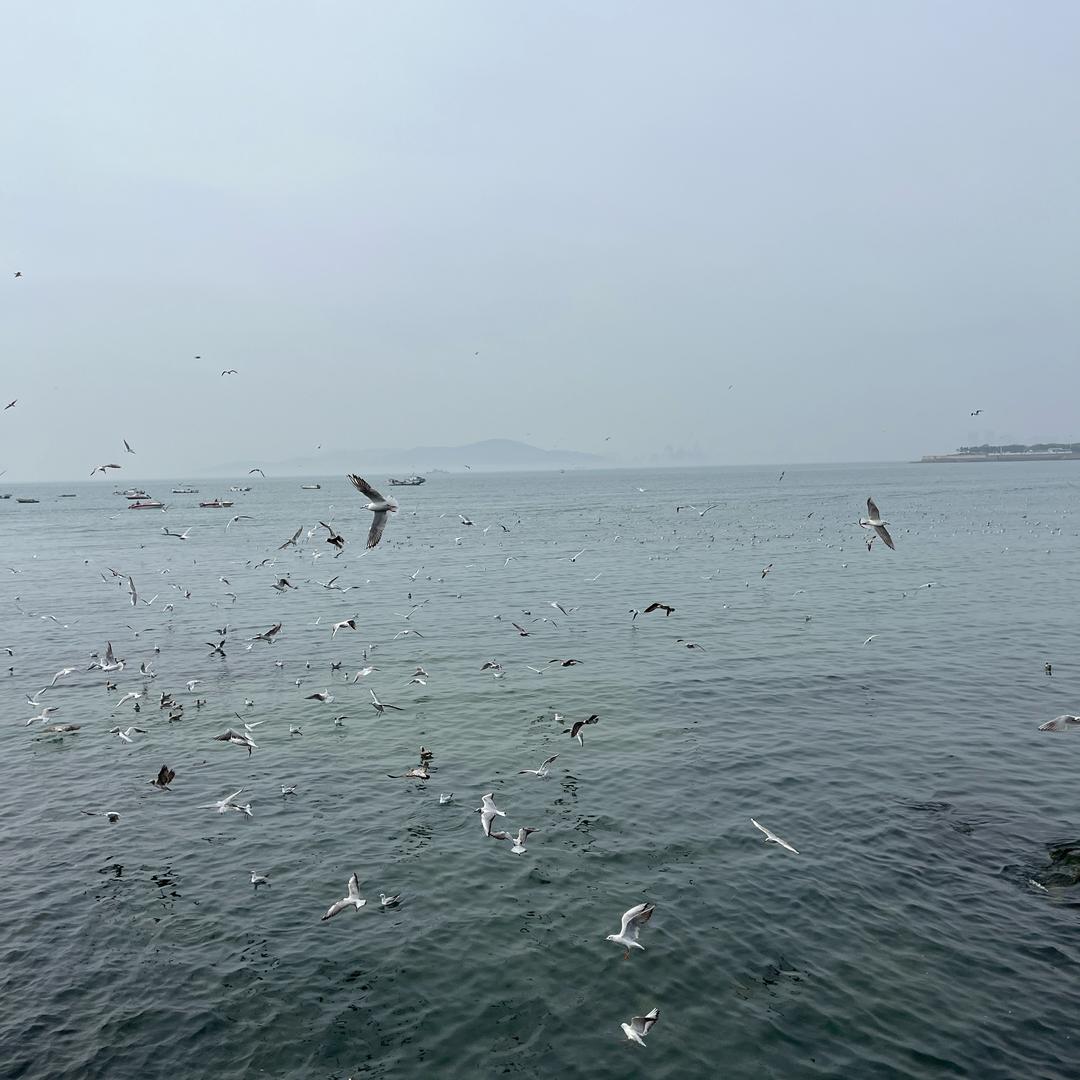 尔冬陈