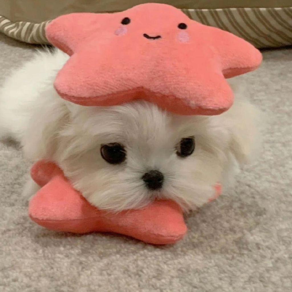 WUYz-