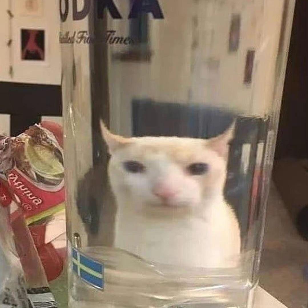 七意