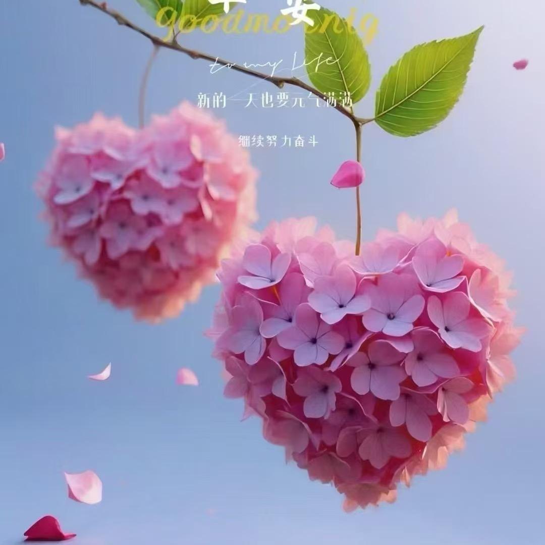 莎莎.🇨🇳