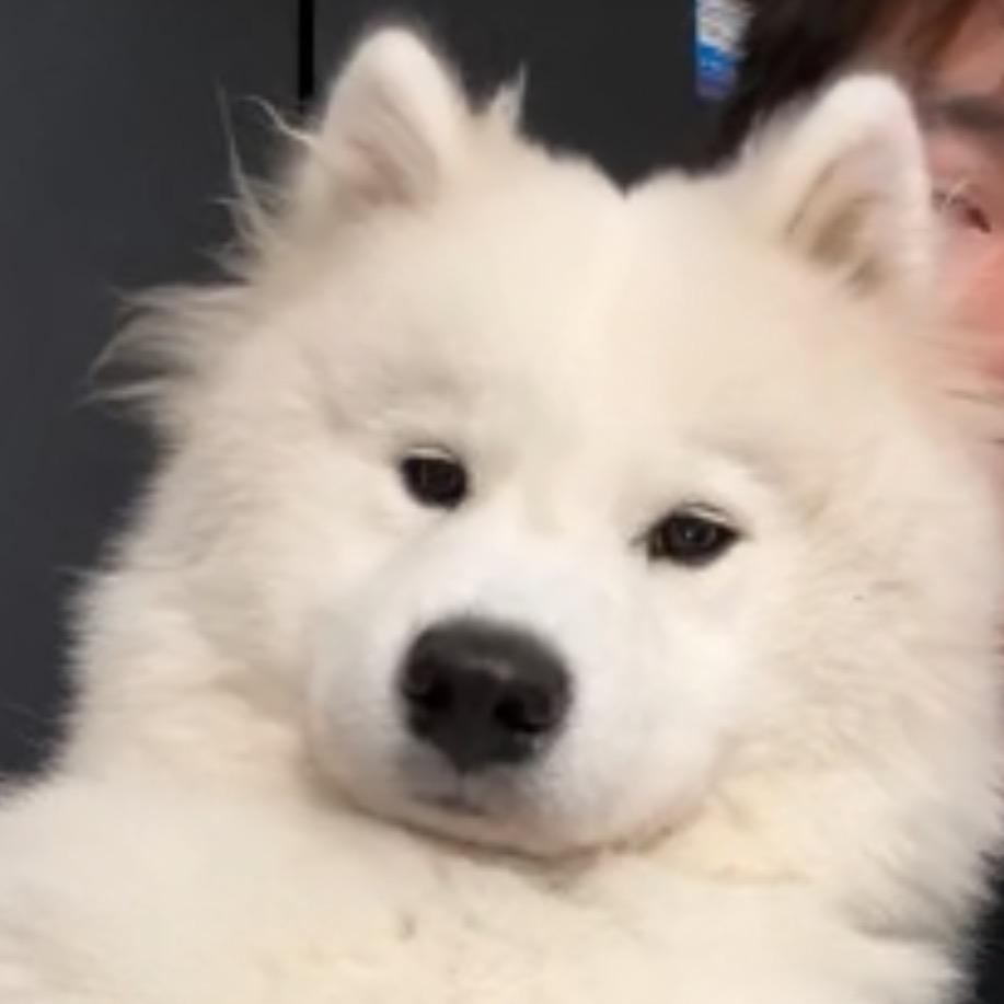 睡懒觉_