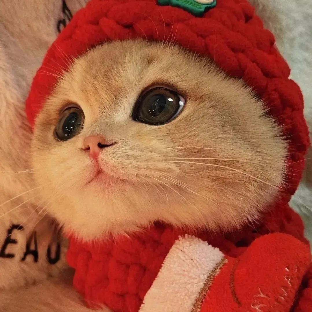 研习-周周爱学习