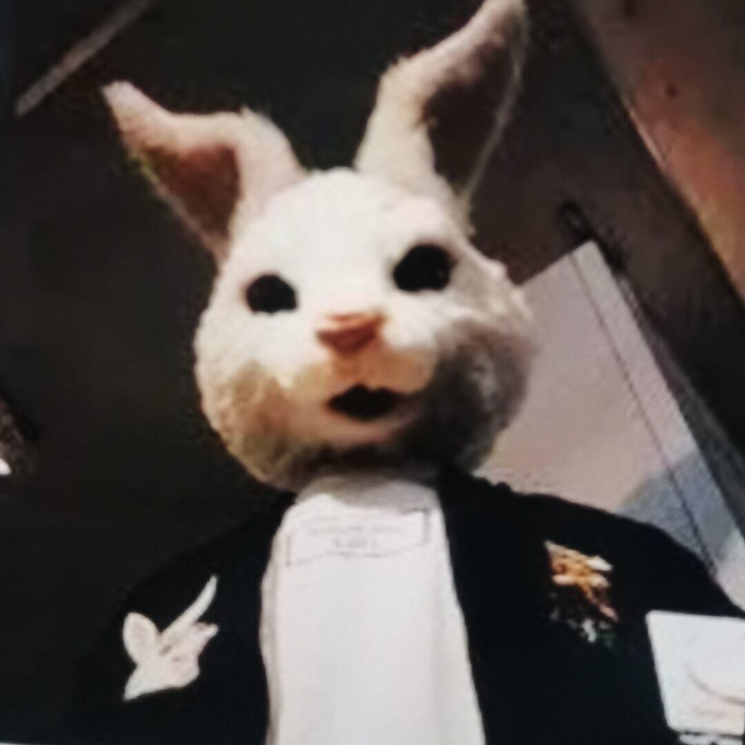 心向逍遥不向情