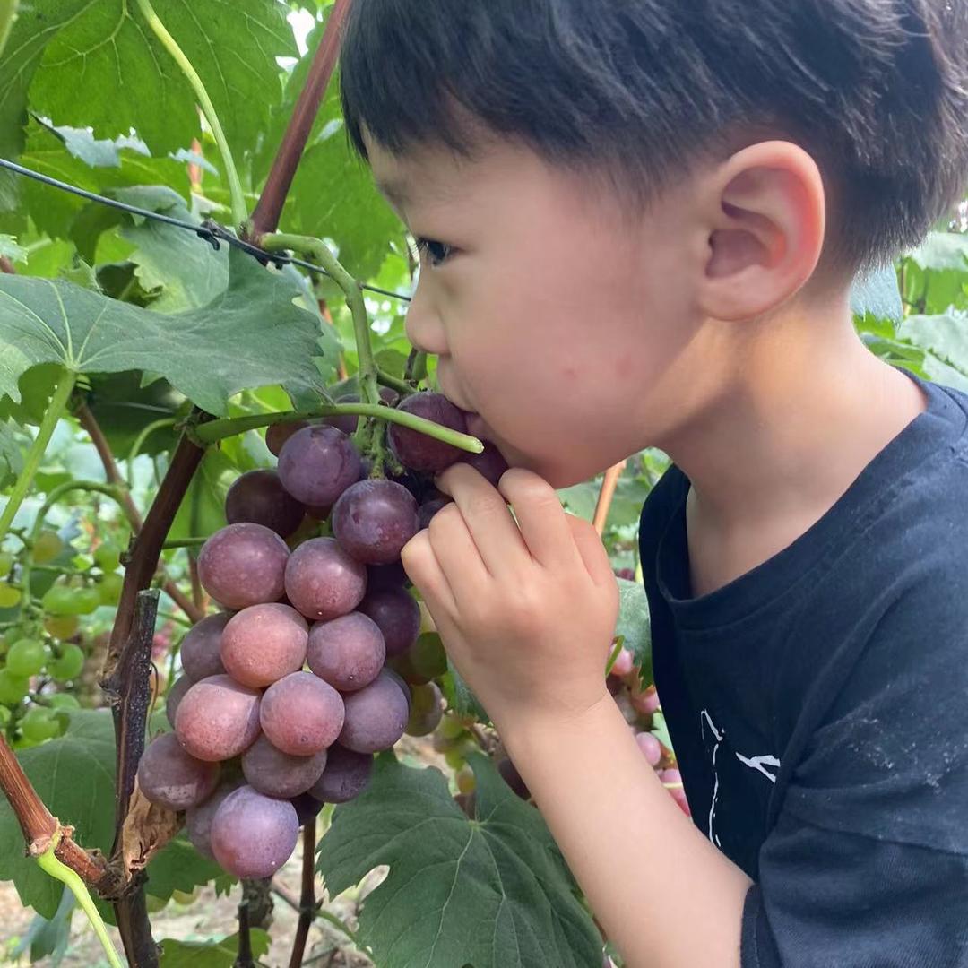 绿地世纪城胖胖团购