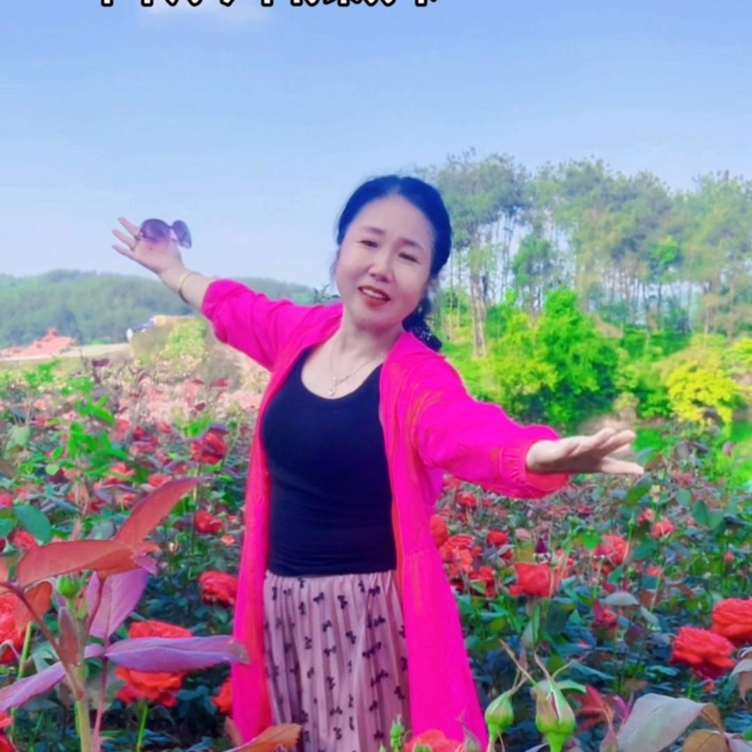 红枣树