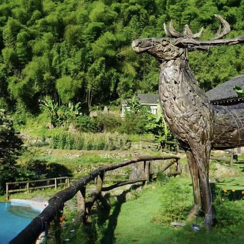 泰安怡游网络科技