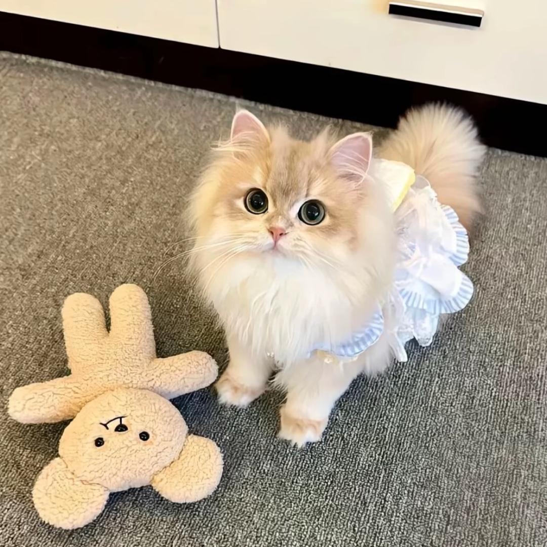 娜娜子.