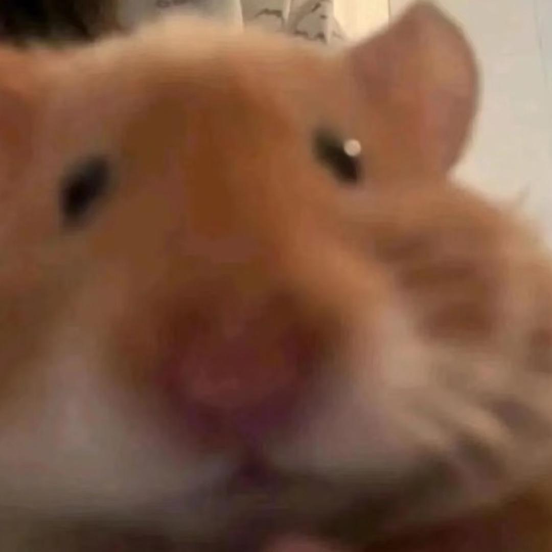 糕糕在上
