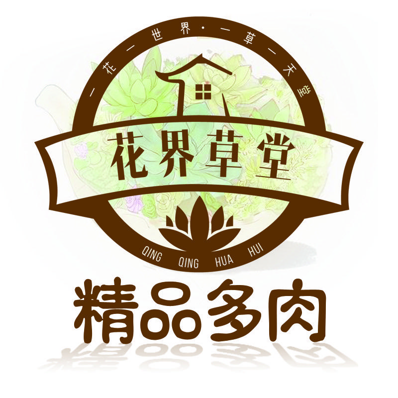 花界草堂精品多肉