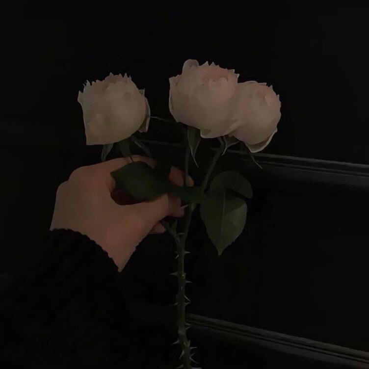 咩