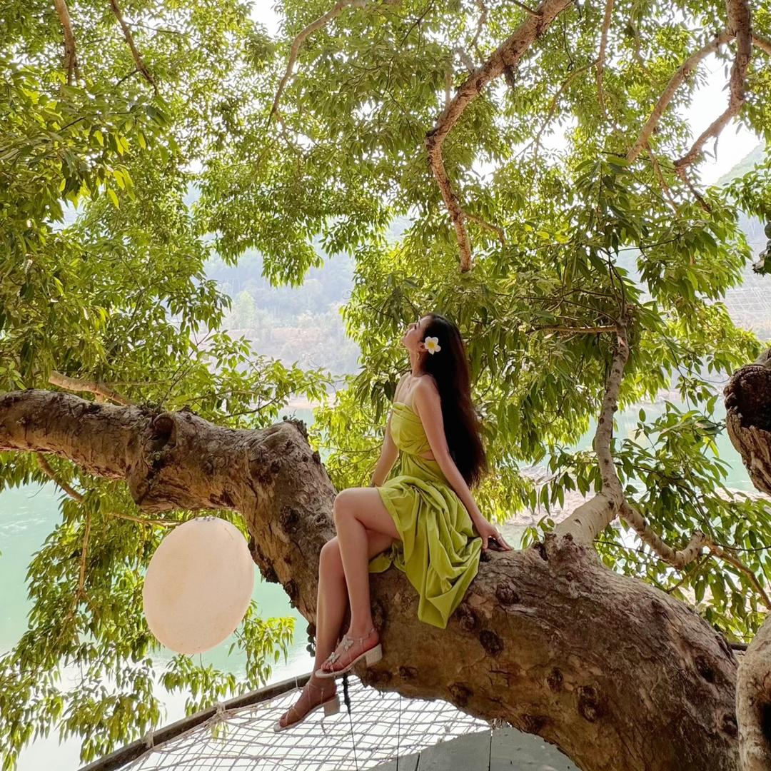 爱旅行的小狮子